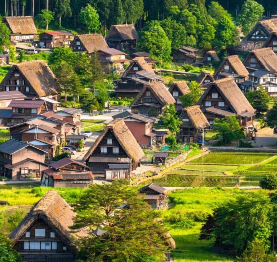 e8f268476ef55b3ba96935d99b5bef