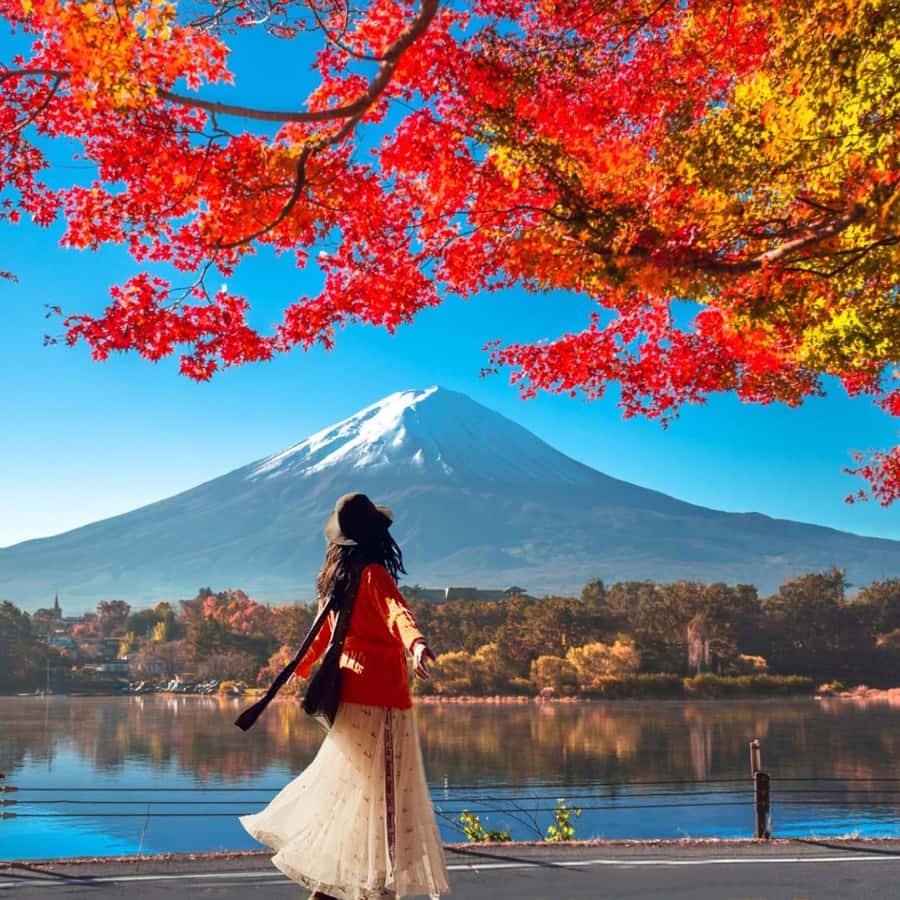 东京：富士山六景：河口湖、莺宿八海| GetYourGuide