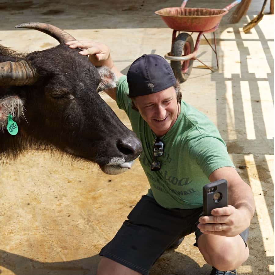 琅勃拉邦：农场之旅与水牛自助餐冒险| GetYourGuide