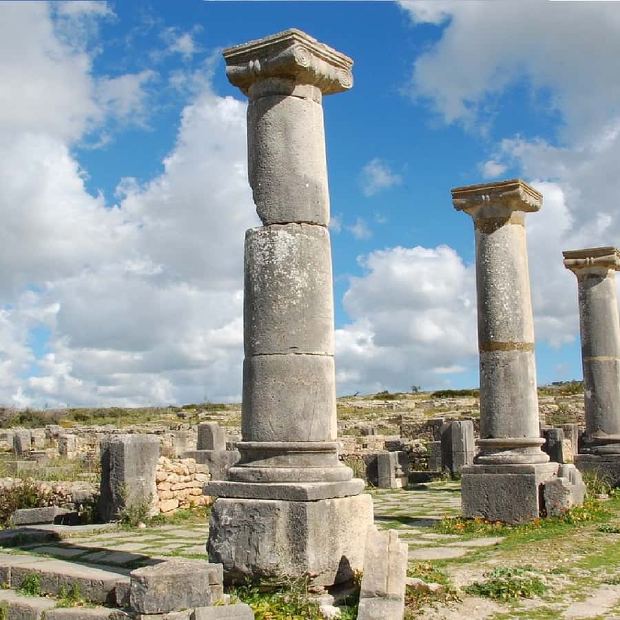 非斯瓦卢比利斯罗马遗址、穆利-伊德里斯和梅克内斯一日游| GetYourGuide