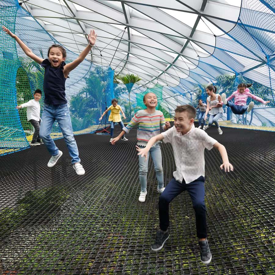 ジュエル チャンギ空港：スカイ ネッツ入場券 | GetYourGuide