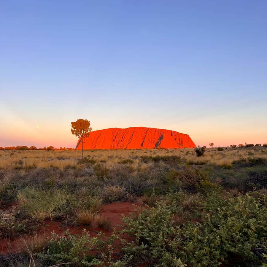 ウルル：ロック・トゥ・ロック・アドベンチャー・ツアー4日間