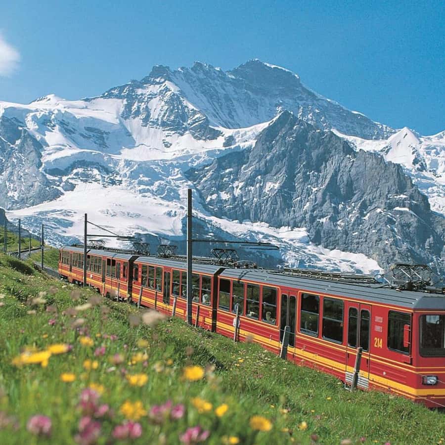 Zürih'ten: Cogway Treni ile Jungfraujoch Rehberli Günlük Tur