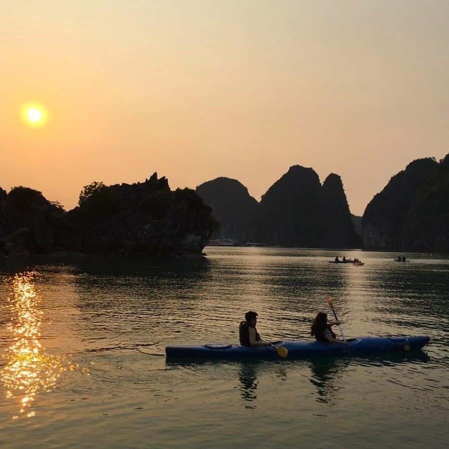 a cat on the beach with the sunset - Arthub.ai, image size:900x900