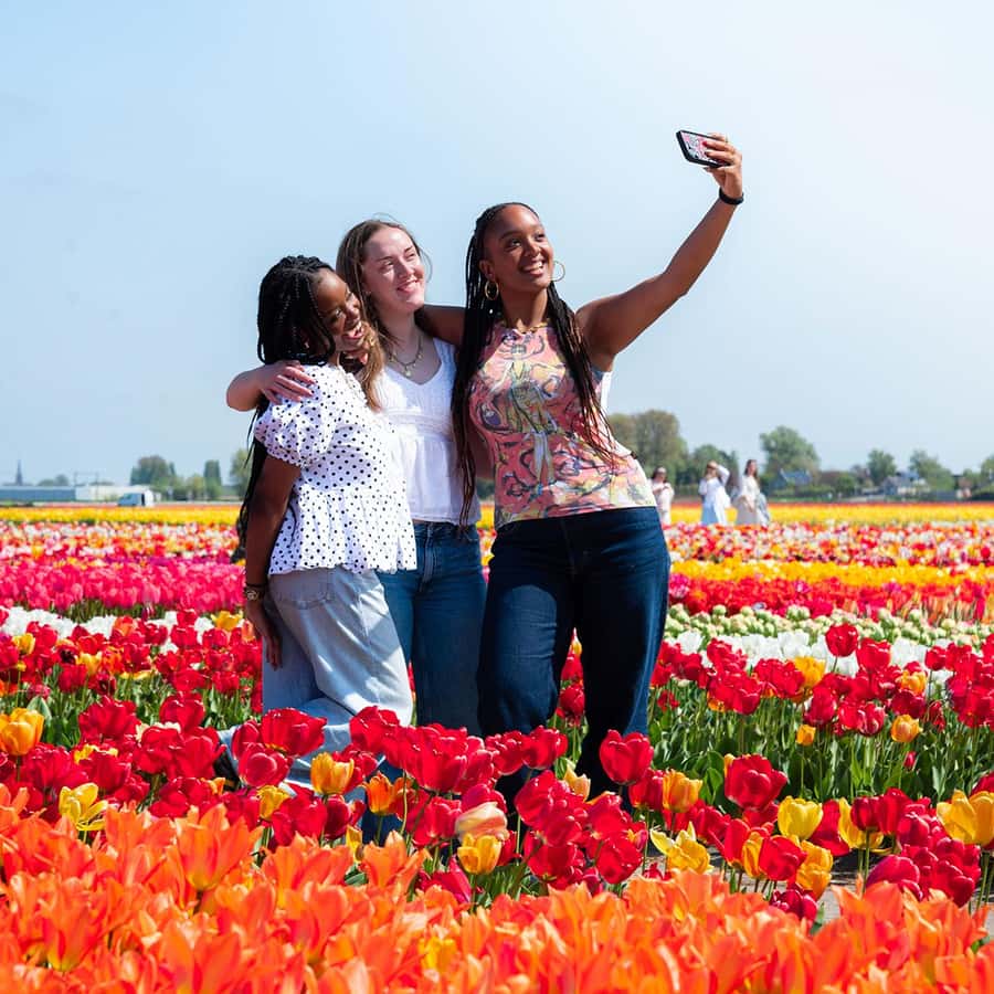 Lisse: Tulip Experience Ticket with Tulip Garden and Museum