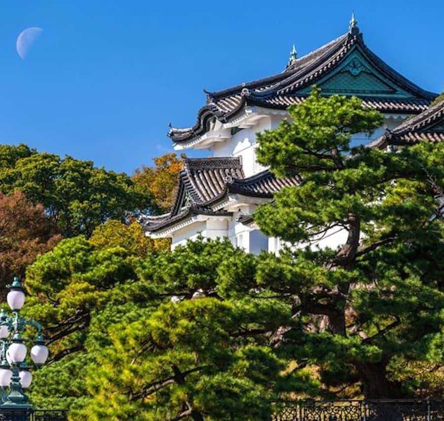 東京：皇居東御苑のプライベートツアーをご案内いたします | GetYourGuide