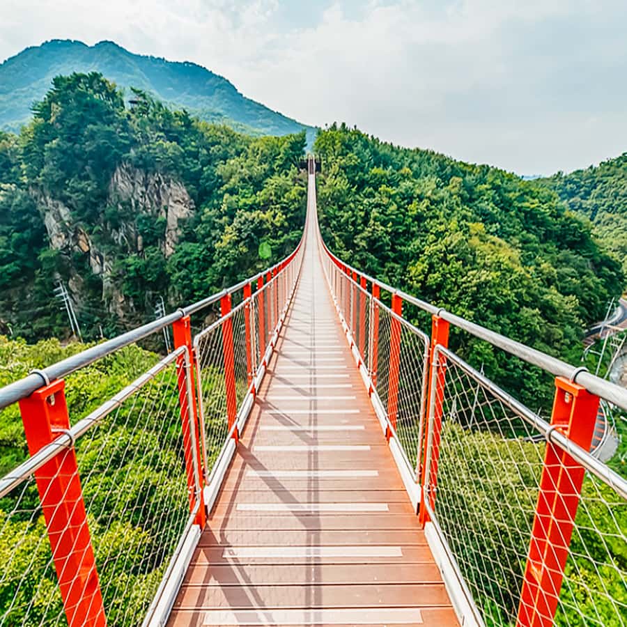 Seoul: DMZ, 3rd Tunnel and Optional Suspension Bridge Tour