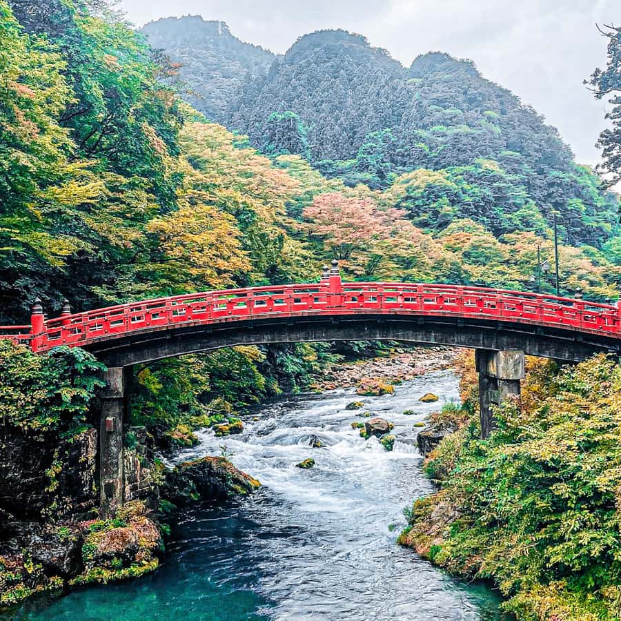 岩層是地質年代緩慢波動的浪劉慈欣說「山是漫長地質年代裡變化極其緩慢的浪」， 是在持續多年的地殼運動中形成的、在歲月變遷中緩緩流動的浪花。  若是活上幾萬年，便能察覺山岩在波動，可惜我們只是瞬被洶湧時間吞噬的一粒沙。 _ 看了太多大海和星空, image size:900x900