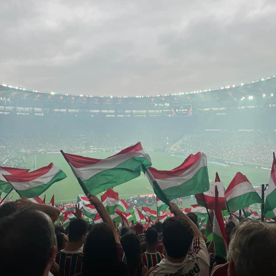 与当地主办者一起在马拉卡纳观看弗鲁米嫩塞足球比赛| GetYourGuide