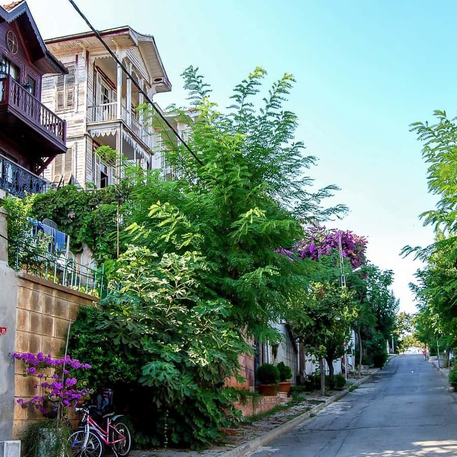 イスタンブール発：昼食付きプリンセス島終日ツアー | GetYourGuide