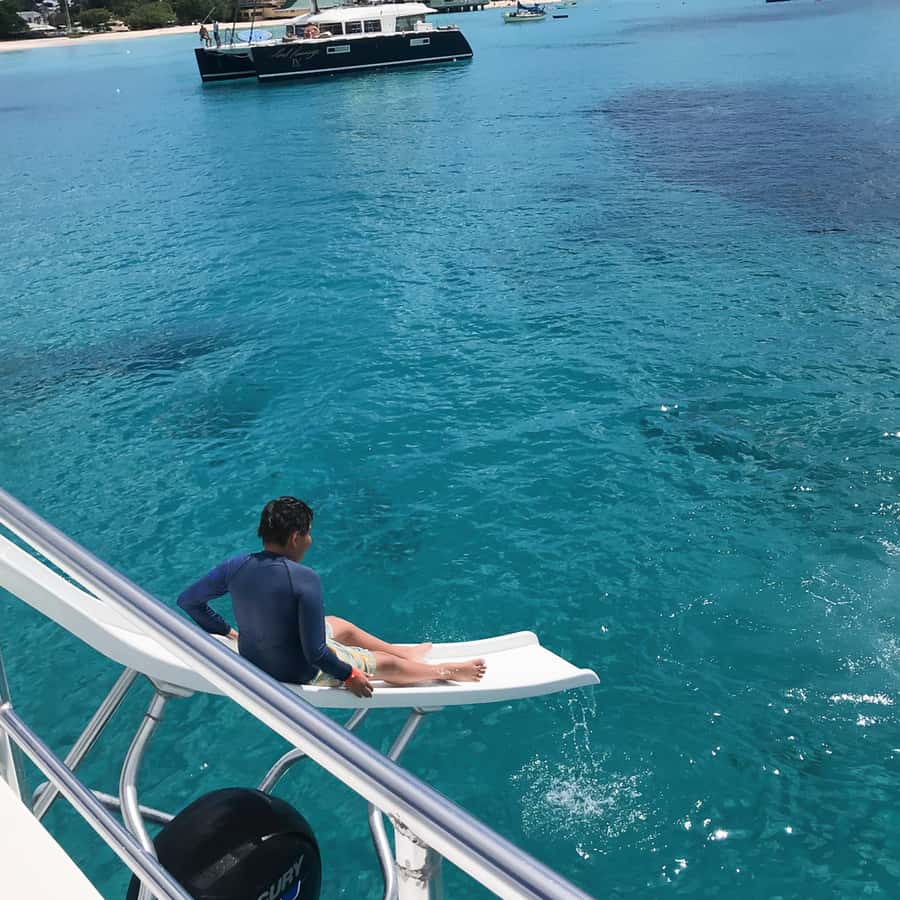 Bridgetown: Carlisle Bay Turtle and Shipwreck Boat Cruise