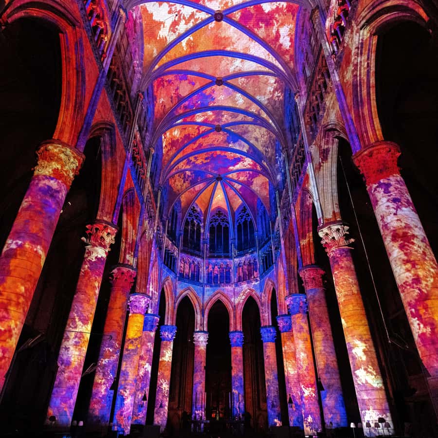 브뤼셀 대성당: 몰입형 사운드 앤 라이트 쇼 – 루미니센스 | GetYourGuide, image size:900x900