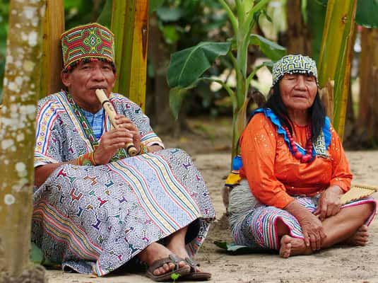 Yarinococha: Rosa Delfine & Shipibo‑Conibo Kultur