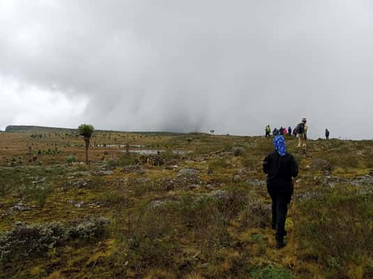 image n.1 of Aberdare National Park: 3-Day Guided Hiking Tour activity in Central Kenya, uploaded by supplier