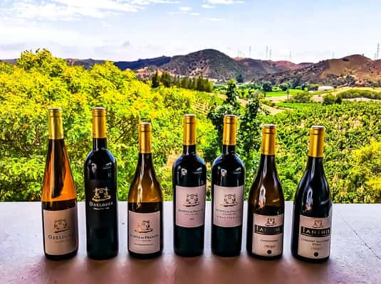 From Lagos: Small-Group 4-Hour Wine Tasting Tour