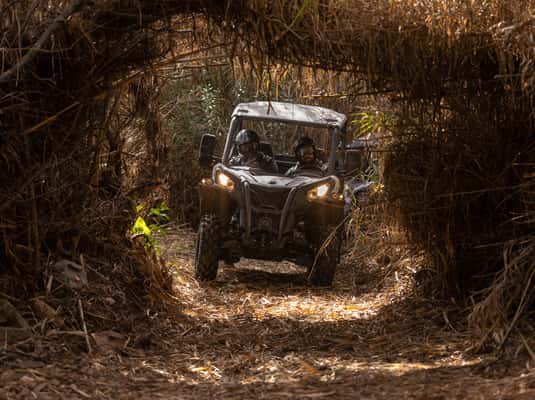 Almancil: Algarve Guided Off-Road Buggy Adventure