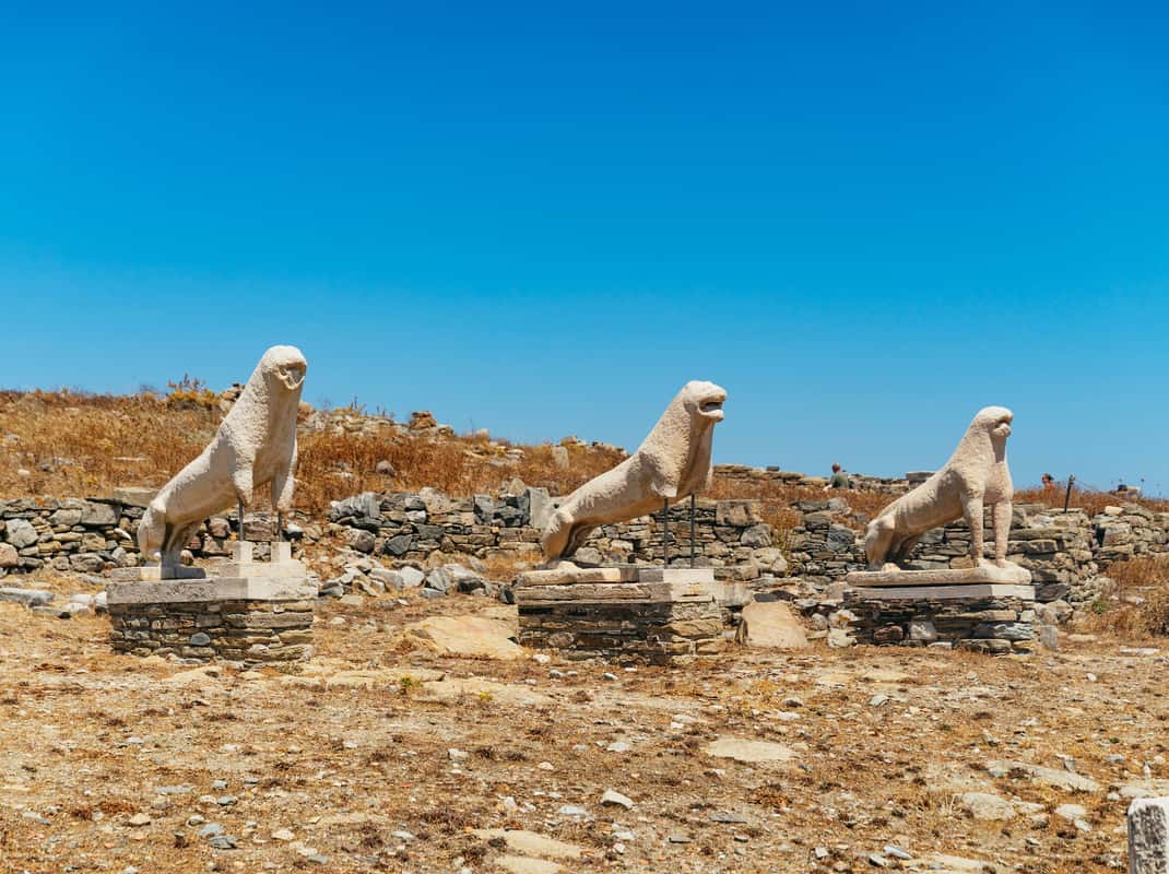 Terras der Leeuwen Delos