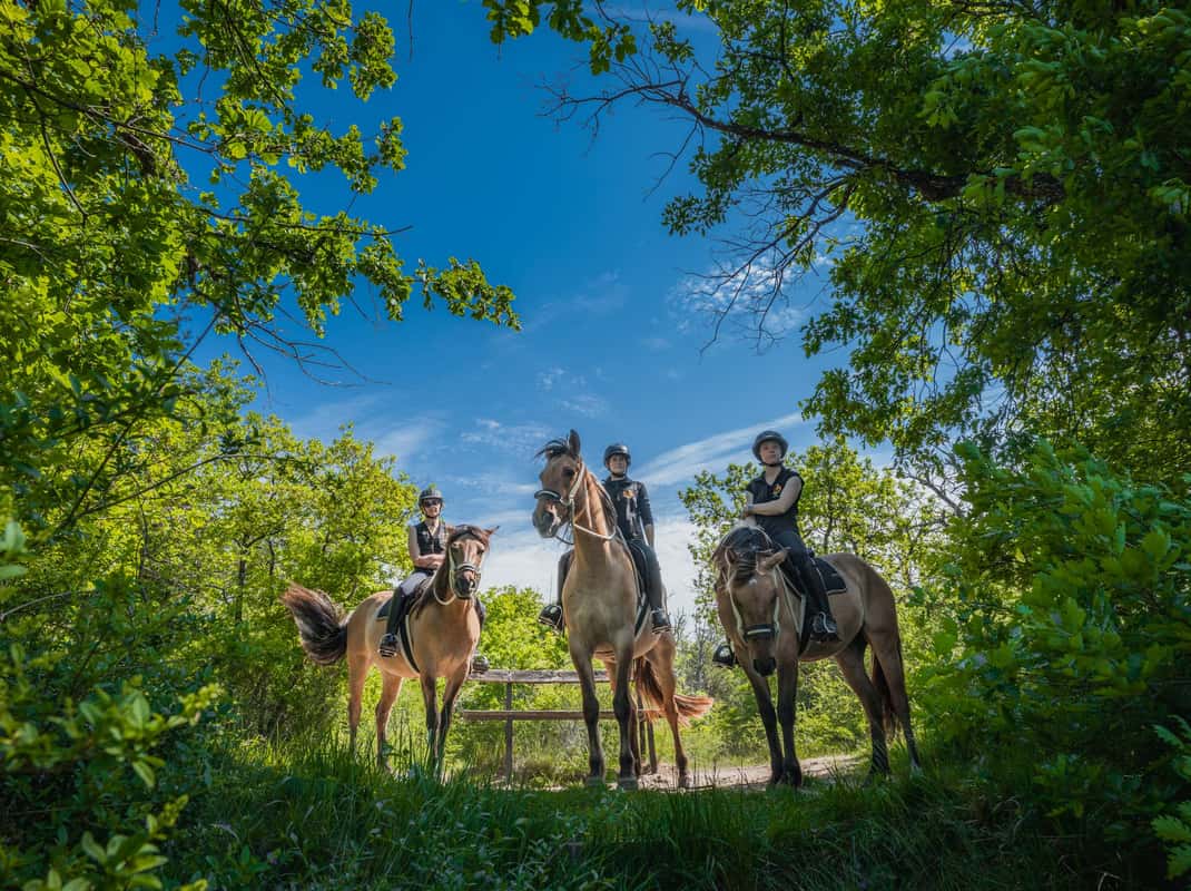 Château de Fontainebleau