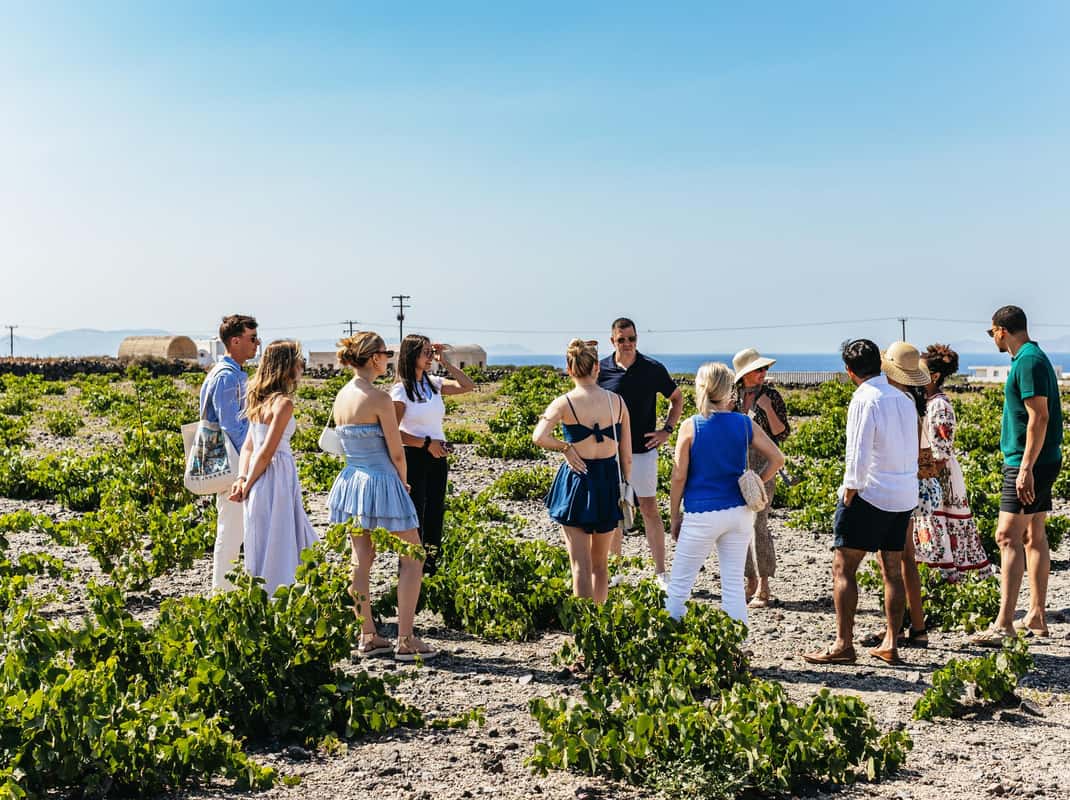 Wijntour bij zonsondergang Santorini