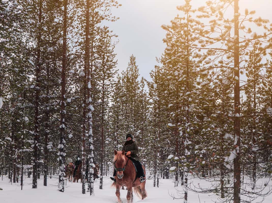 Paardrijden Saariselkä