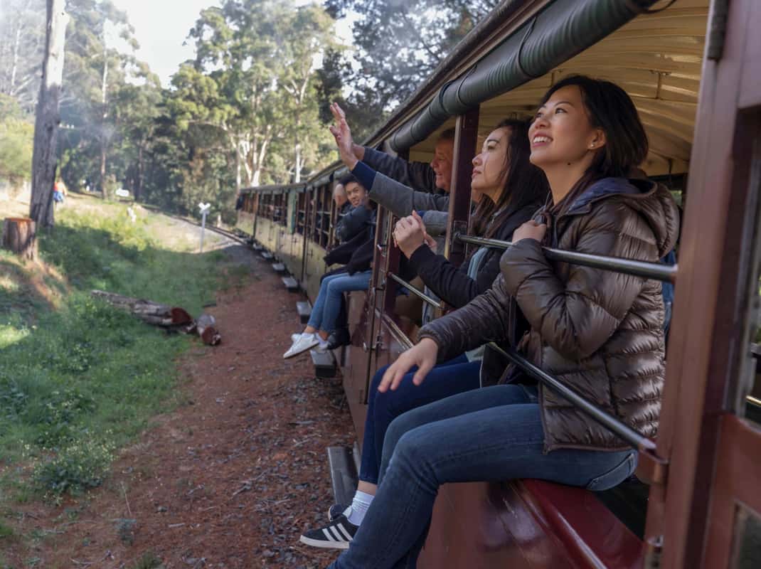 From Melbourne: Puffing Billy Train & Penguin Wildlife Tour