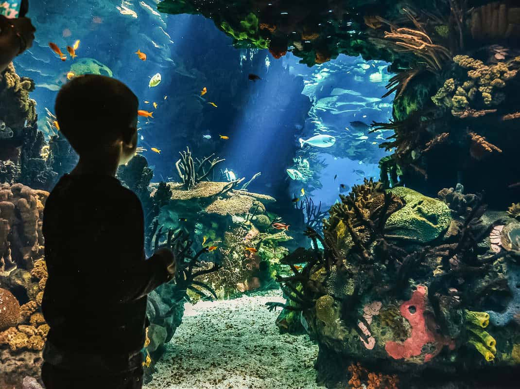 Oceanário de Lisboa