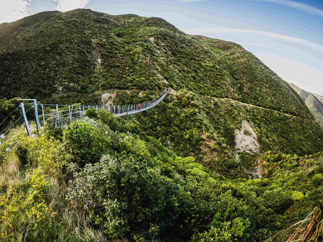 E-bike tour Wellington