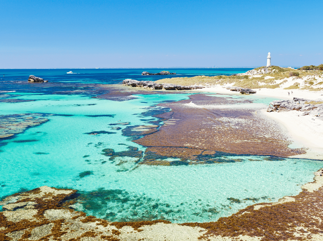 Rottnest Island tour