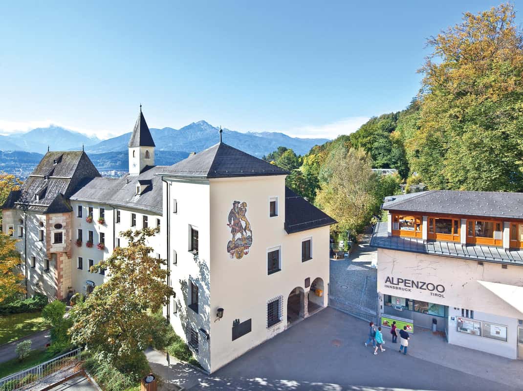 Alpine dieren Innsbruck zoo