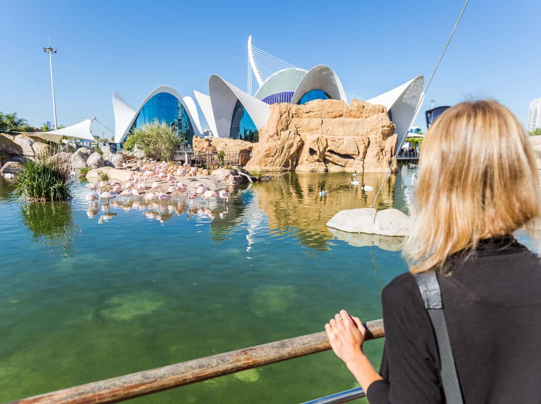 Oceanogràfic en Wetenschapsmuseum in Valencia