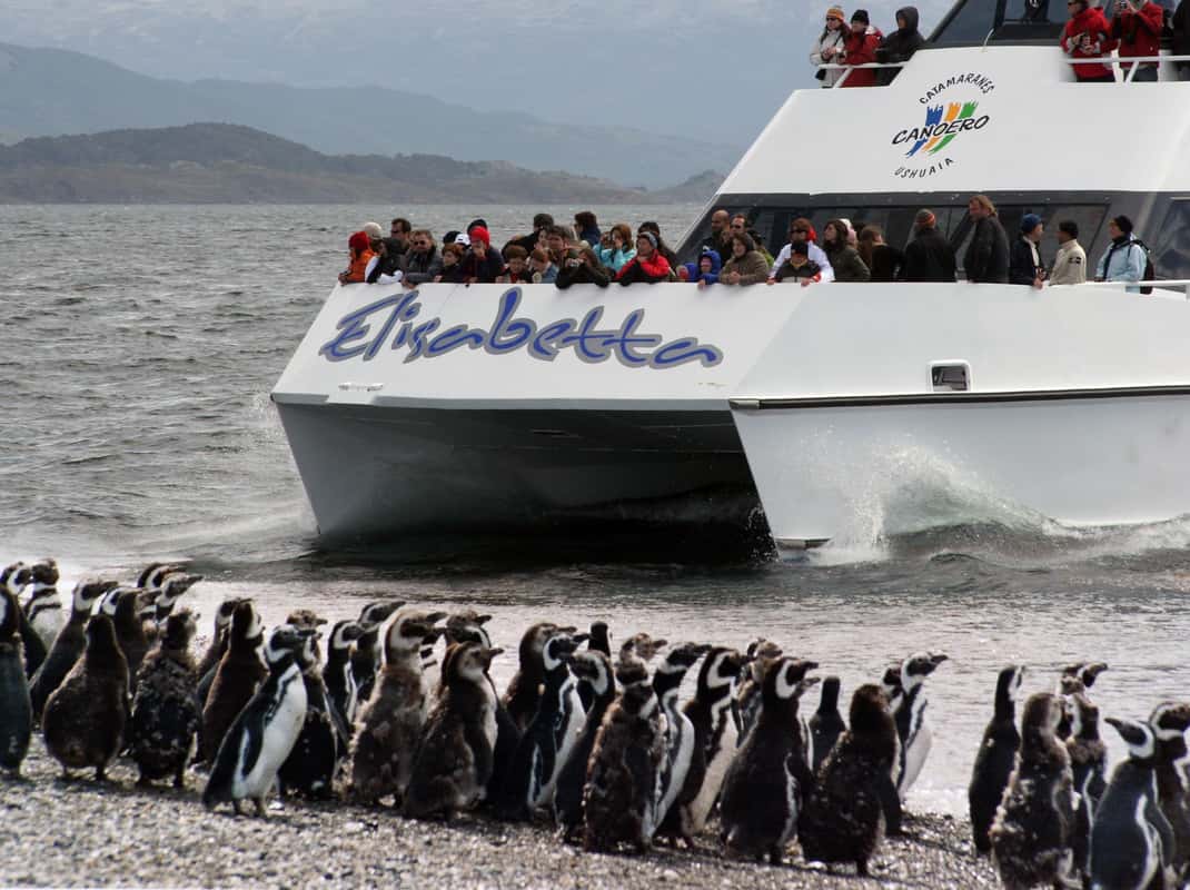 Ushuaia: Penguin Watching Tour by Catamaran