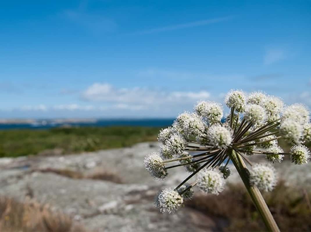 Boottour Vinga archipel