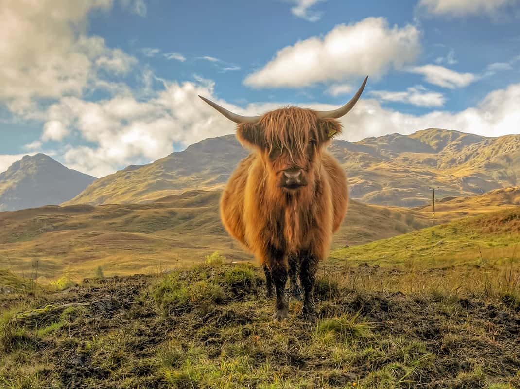 Trossachs National Park
