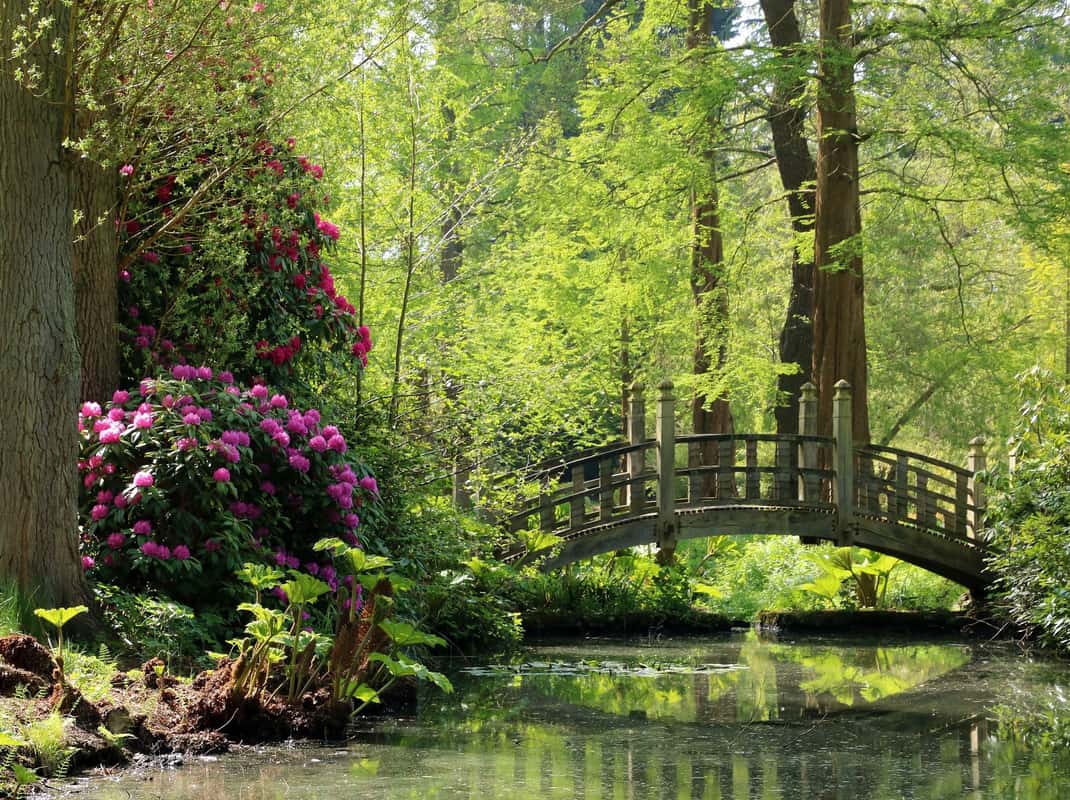 Winterbourne House Birmingham