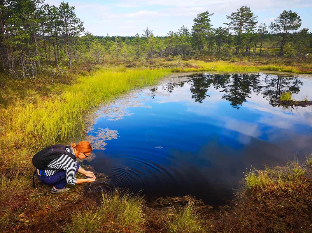 Lahemaa Nationaal Park Estland