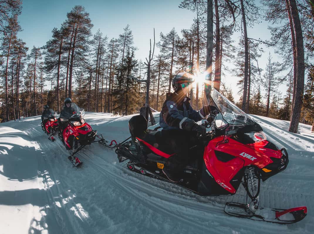 Sneeuwscooter door dennenbos