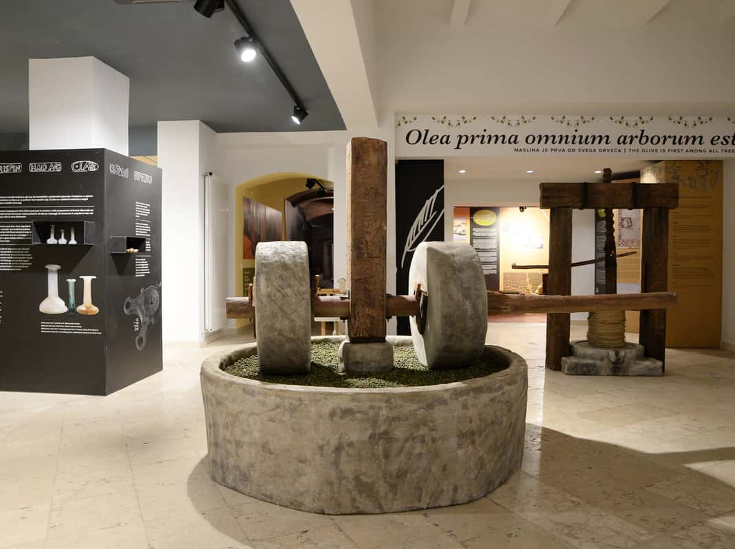 Olijfolie proeverij Istrië