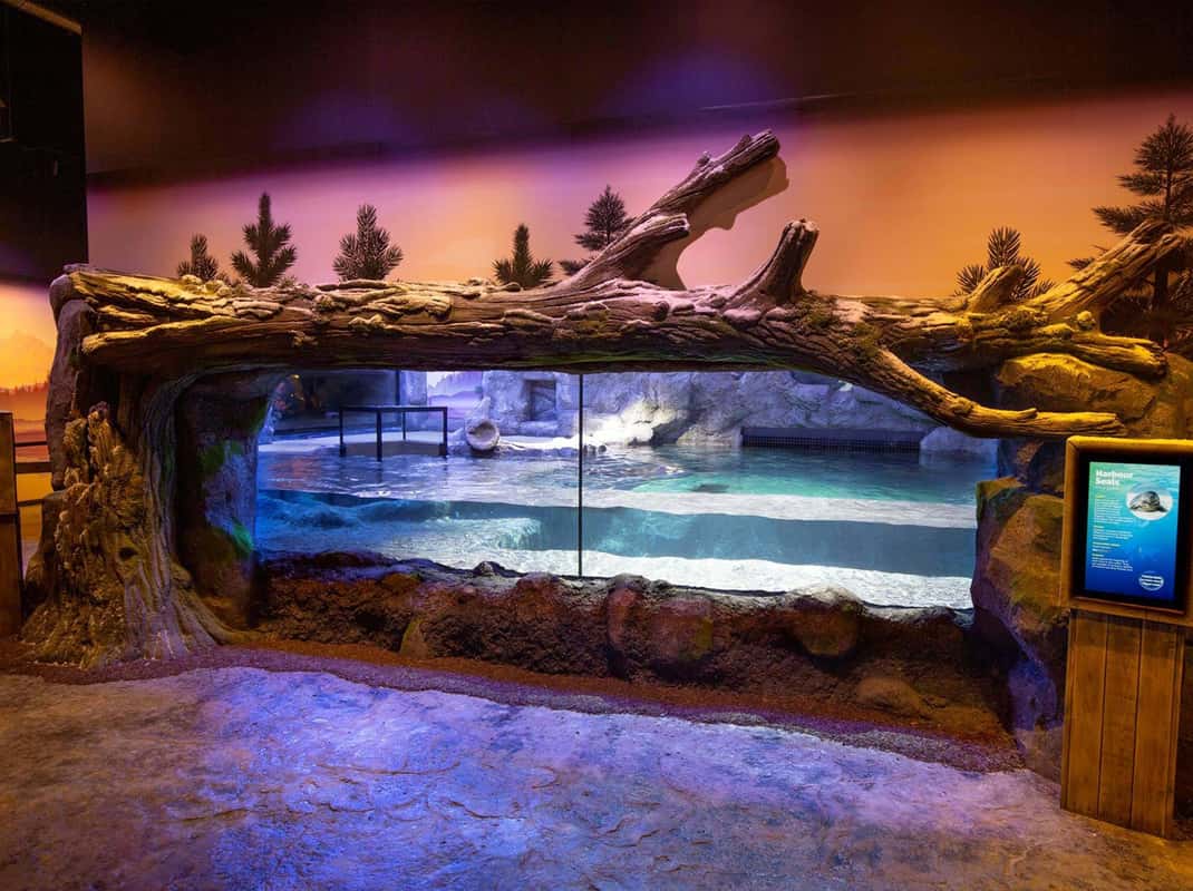 Haaien Sea Life Birmingham