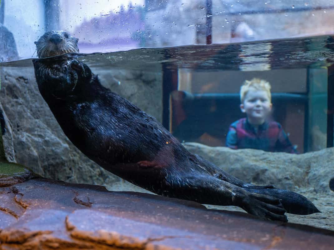 Onderwatertunel Birmingham