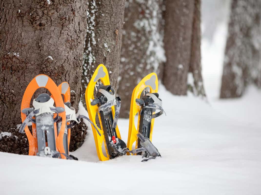 Levi fjell panorama winter