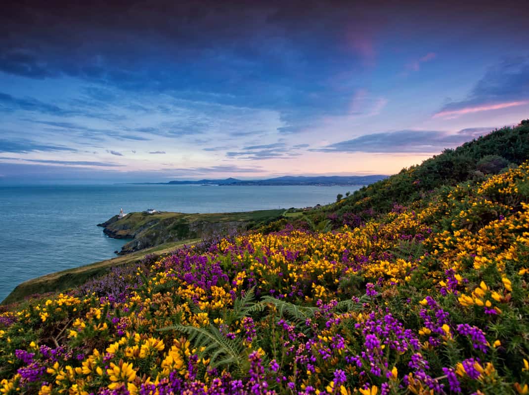 Howth Village haven Dublin
