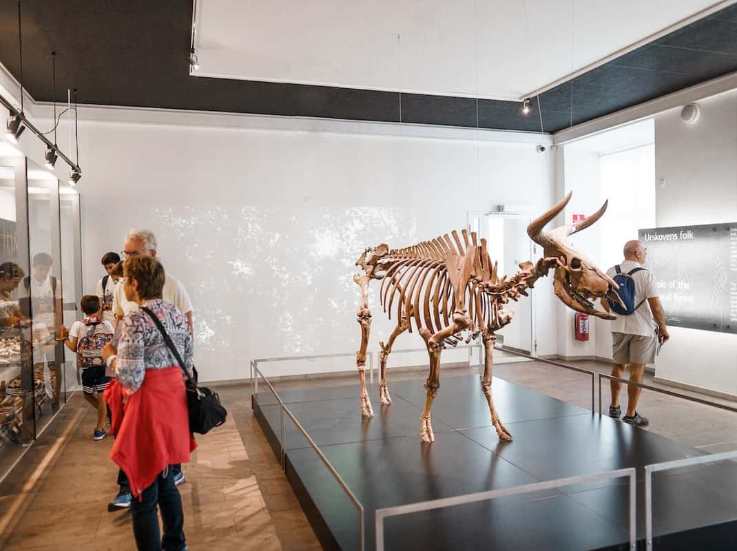 Historische zaal in het museum