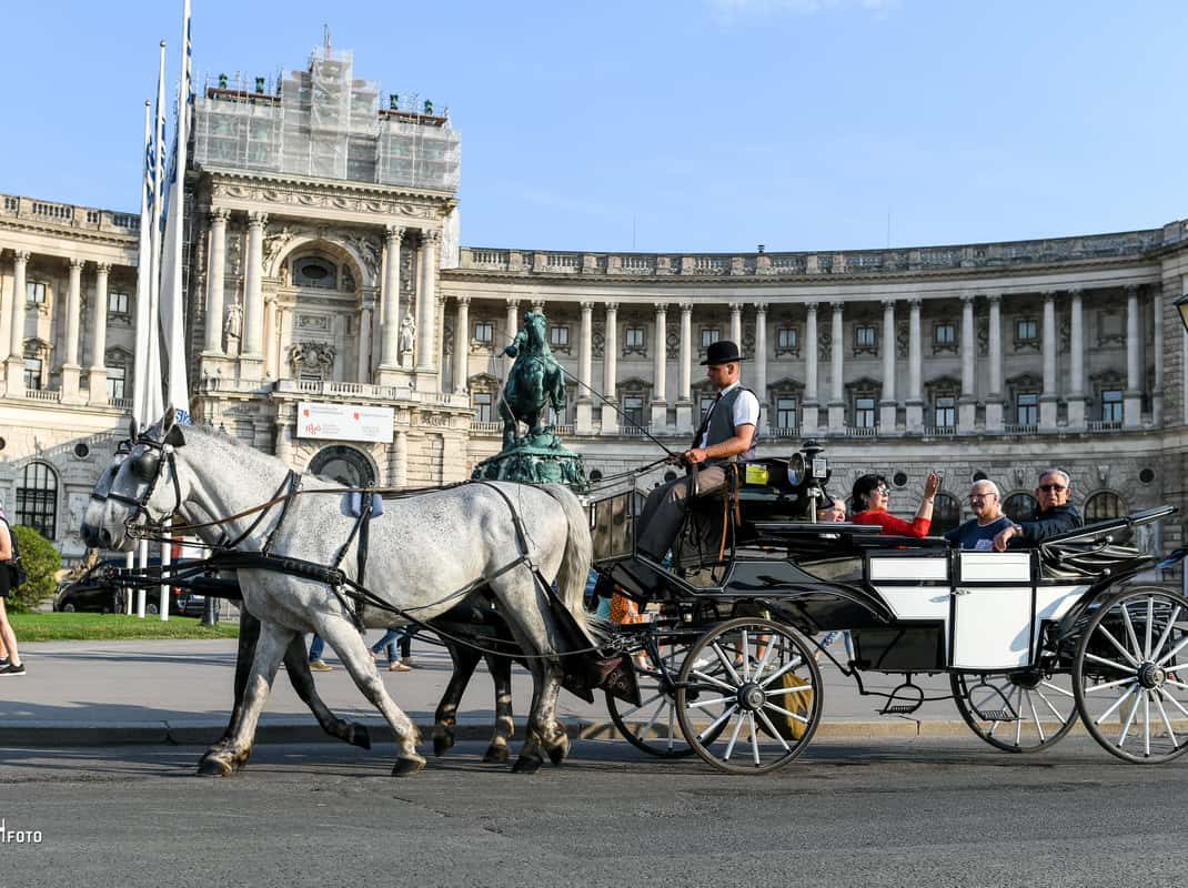 Fiaker paardenkoets Wenen