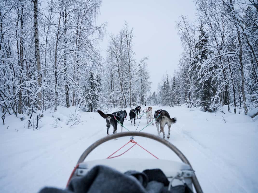 Husky slee tour Levi