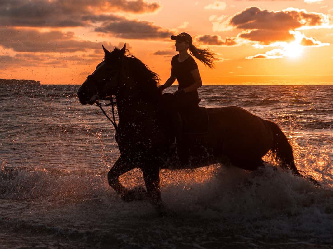 Paardrijden strand Kos