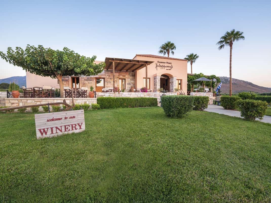 Druivenvelden Dodekanesos