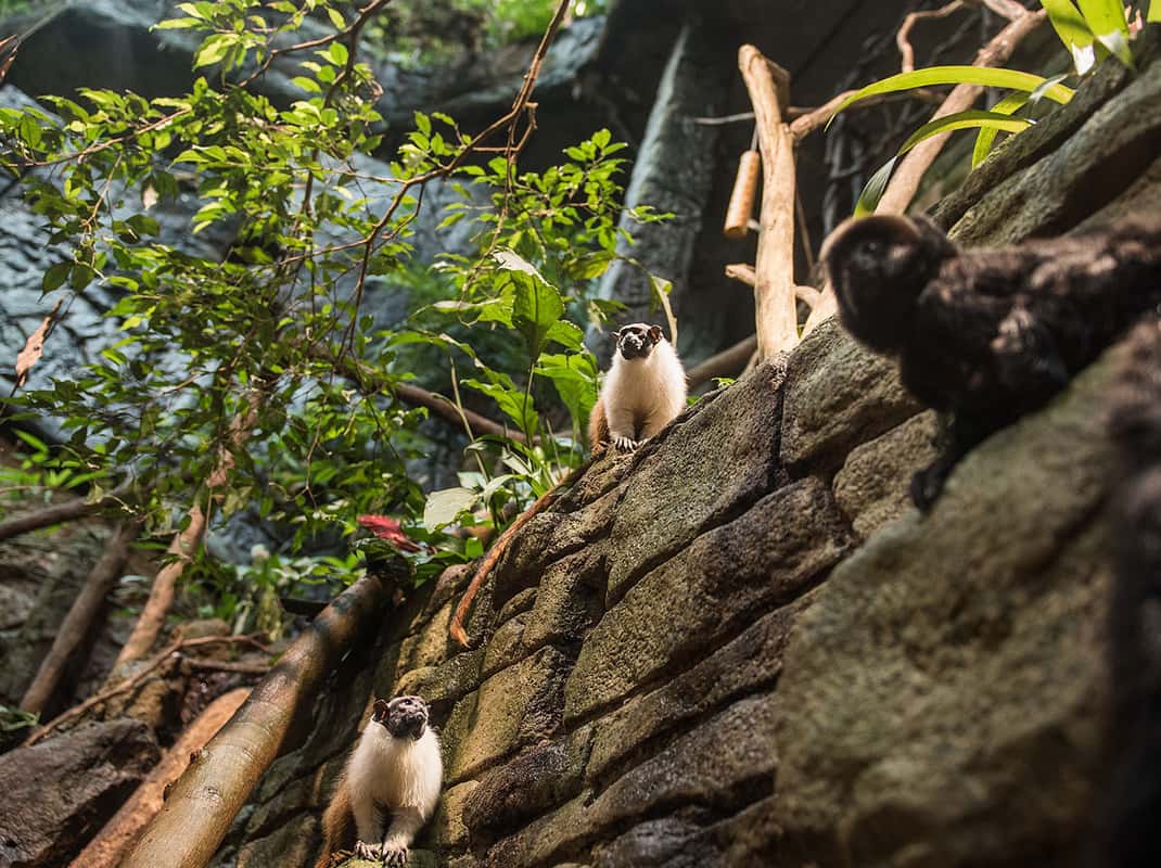 Science museum Zweden