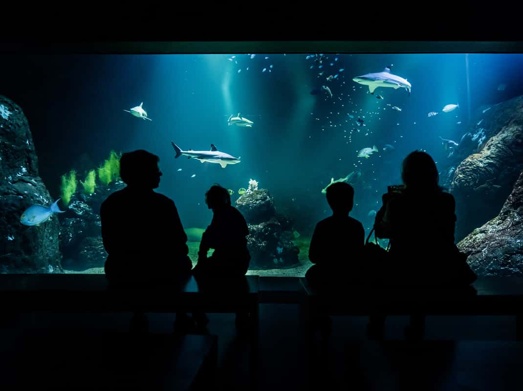 Universeum Göteborg