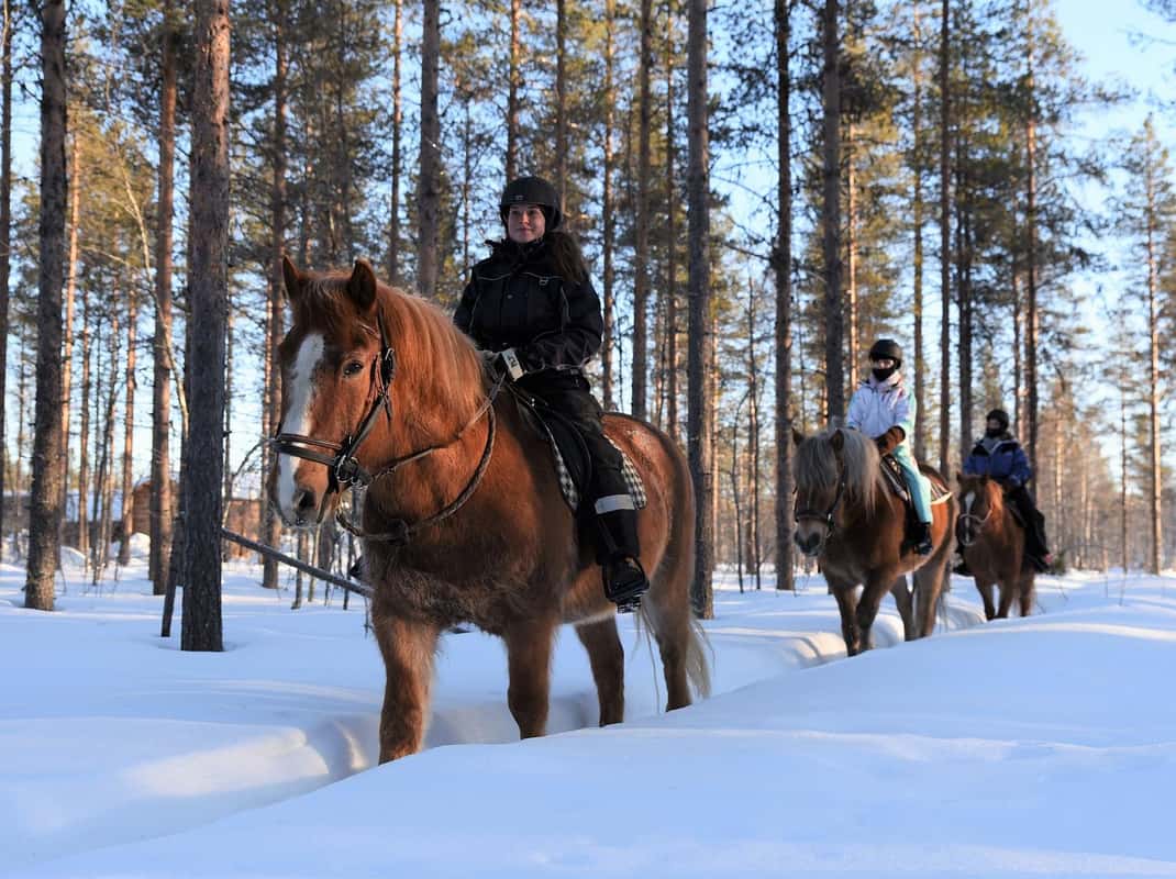Paardrijden in sneeuw Levi