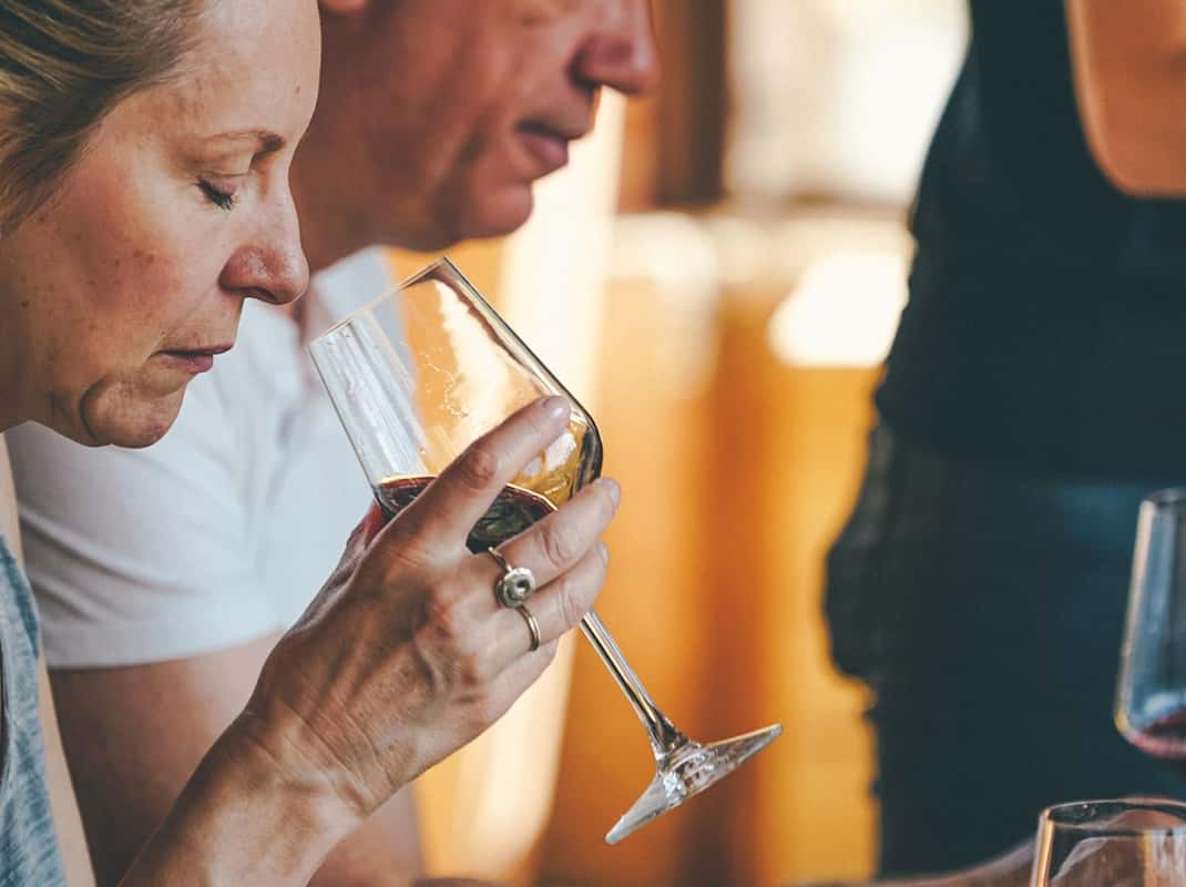 Wijngaarden in de Valpolicella vallei bij Verona